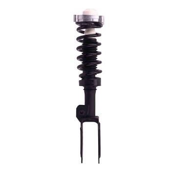 Suspension Strut and Coil Spring Assembly