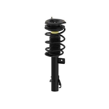 Suspension Strut and Coil Spring Assembly