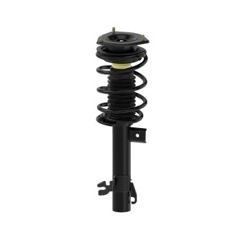 Suspension Strut and Coil Spring Assembly