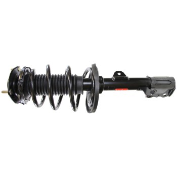 Suspension Strut and Coil Spring Assembly