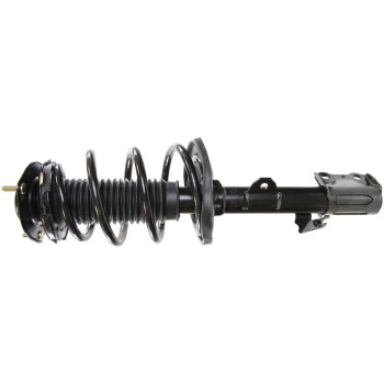 Suspension Strut and Coil Spring Assembly