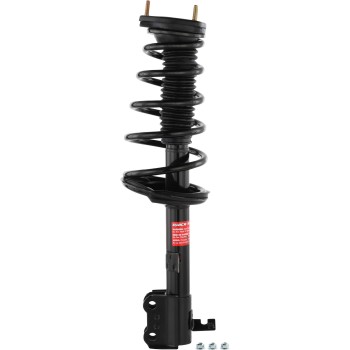 Suspension Strut and Coil Spring Assembly