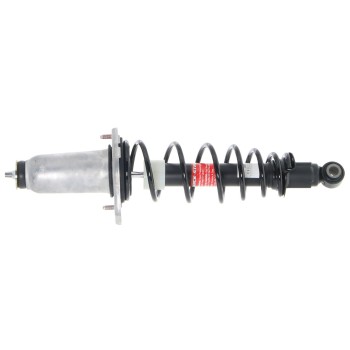 Suspension Strut and Coil Spring Assembly