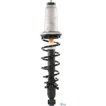Suspension Strut and Coil Spring Assembly