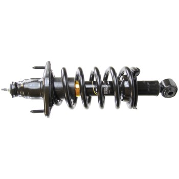 Suspension Strut and Coil Spring Assembly