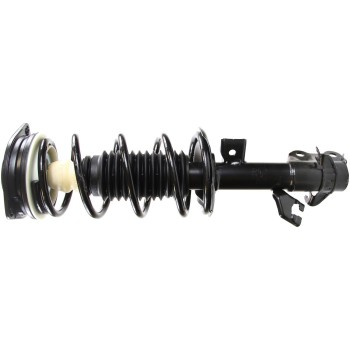 Suspension Strut and Coil Spring Assembly
