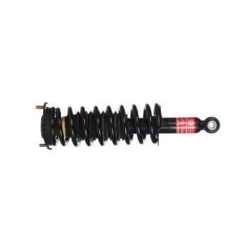 Suspension Strut and Coil Spring Assembly