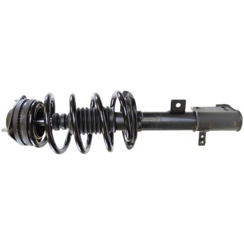 Suspension Strut and Coil Spring Assembly