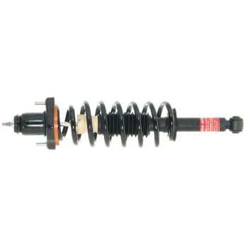Suspension Strut and Coil Spring Assembly