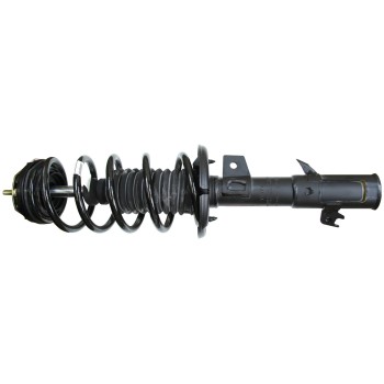 Suspension Strut and Coil Spring Assembly