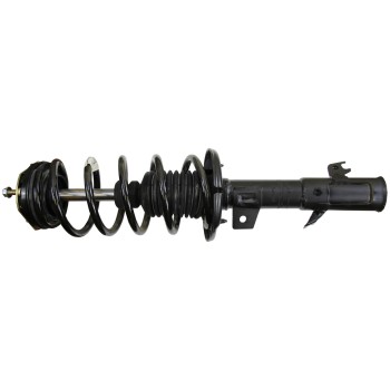 Suspension Strut and Coil Spring Assembly