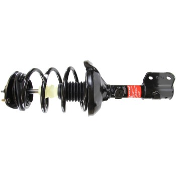 Suspension Strut and Coil Spring Assembly