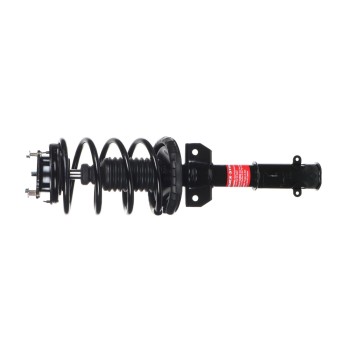 Suspension Strut and Coil Spring Assembly