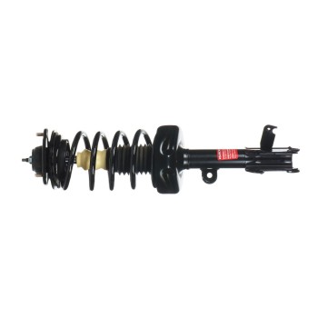 Suspension Strut and Coil Spring Assembly