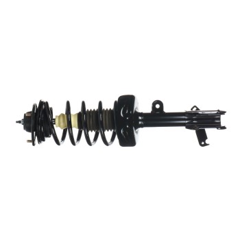 Suspension Strut and Coil Spring Assembly