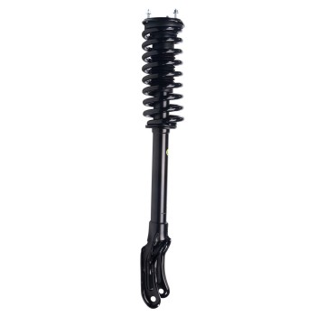 Suspension Strut and Coil Spring Assembly