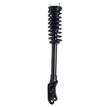 Suspension Strut and Coil Spring Assembly