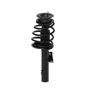 Suspension Strut and Coil Spring Assembly