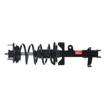 Suspension Strut and Coil Spring Assembly