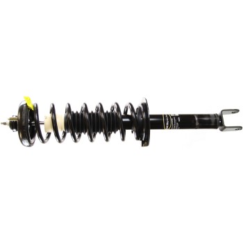 Suspension Strut and Coil Spring Assembly