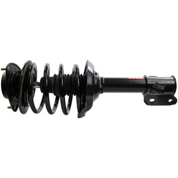 Suspension Strut and Coil Spring Assembly