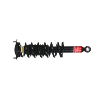 Suspension Strut and Coil Spring Assembly