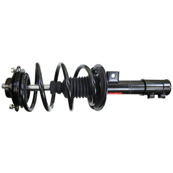 Suspension Strut and Coil Spring Assembly