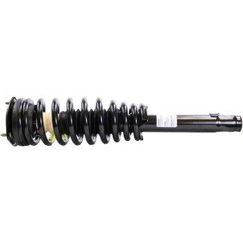 Suspension Strut and Coil Spring Assembly