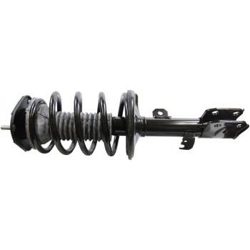 Suspension Strut and Coil Spring Assembly