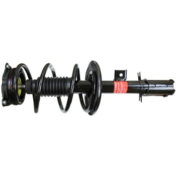 Suspension Strut and Coil Spring Assembly