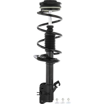 Suspension Strut and Coil Spring Assembly