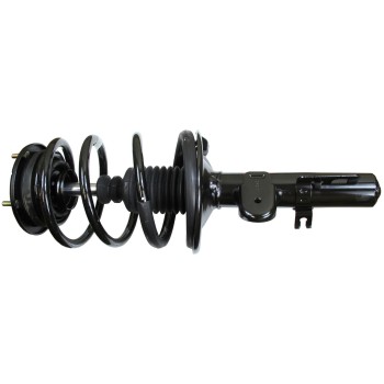Suspension Strut and Coil Spring Assembly