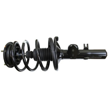 Suspension Strut and Coil Spring Assembly