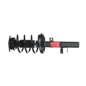 Suspension Strut and Coil Spring Assembly