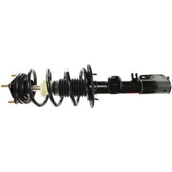 Suspension Strut and Coil Spring Assembly