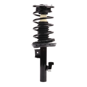 Suspension Strut and Coil Spring Assembly