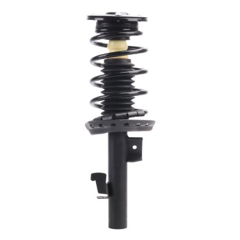 Suspension Strut and Coil Spring Assembly