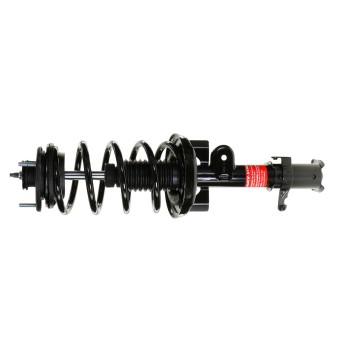 Suspension Strut and Coil Spring Assembly