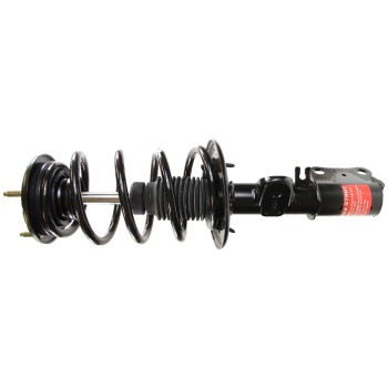 Suspension Strut and Coil Spring Assembly
