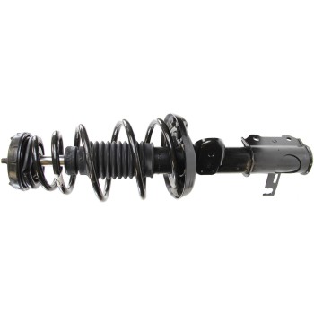 Suspension Strut and Coil Spring Assembly