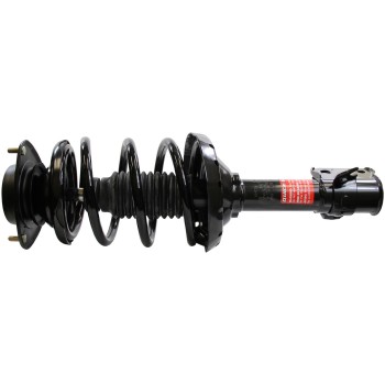 Suspension Strut and Coil Spring Assembly