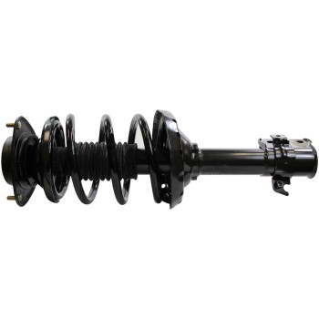 Suspension Strut and Coil Spring Assembly