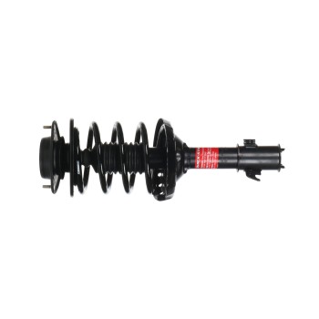 Suspension Strut and Coil Spring Assembly