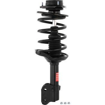 Suspension Strut and Coil Spring Assembly