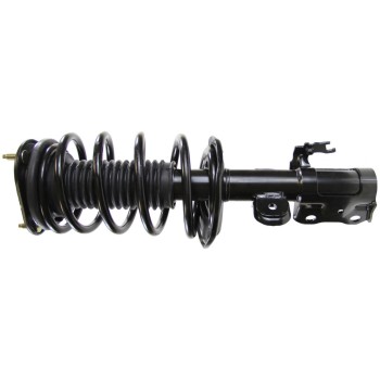 Suspension Strut and Coil Spring Assembly