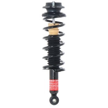 Suspension Strut and Coil Spring Assembly