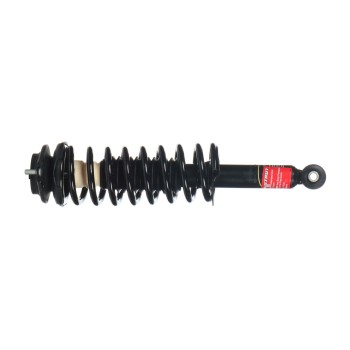 Suspension Strut and Coil Spring Assembly