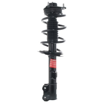 Suspension Strut and Coil Spring Assembly