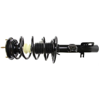 Suspension Strut and Coil Spring Assembly