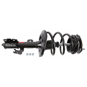 Suspension Strut and Coil Spring Assembly